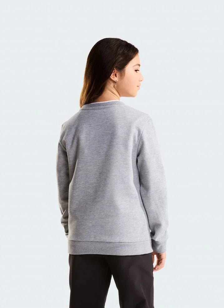 The North Face - Simple Done Sweatshirt | Grau meliert