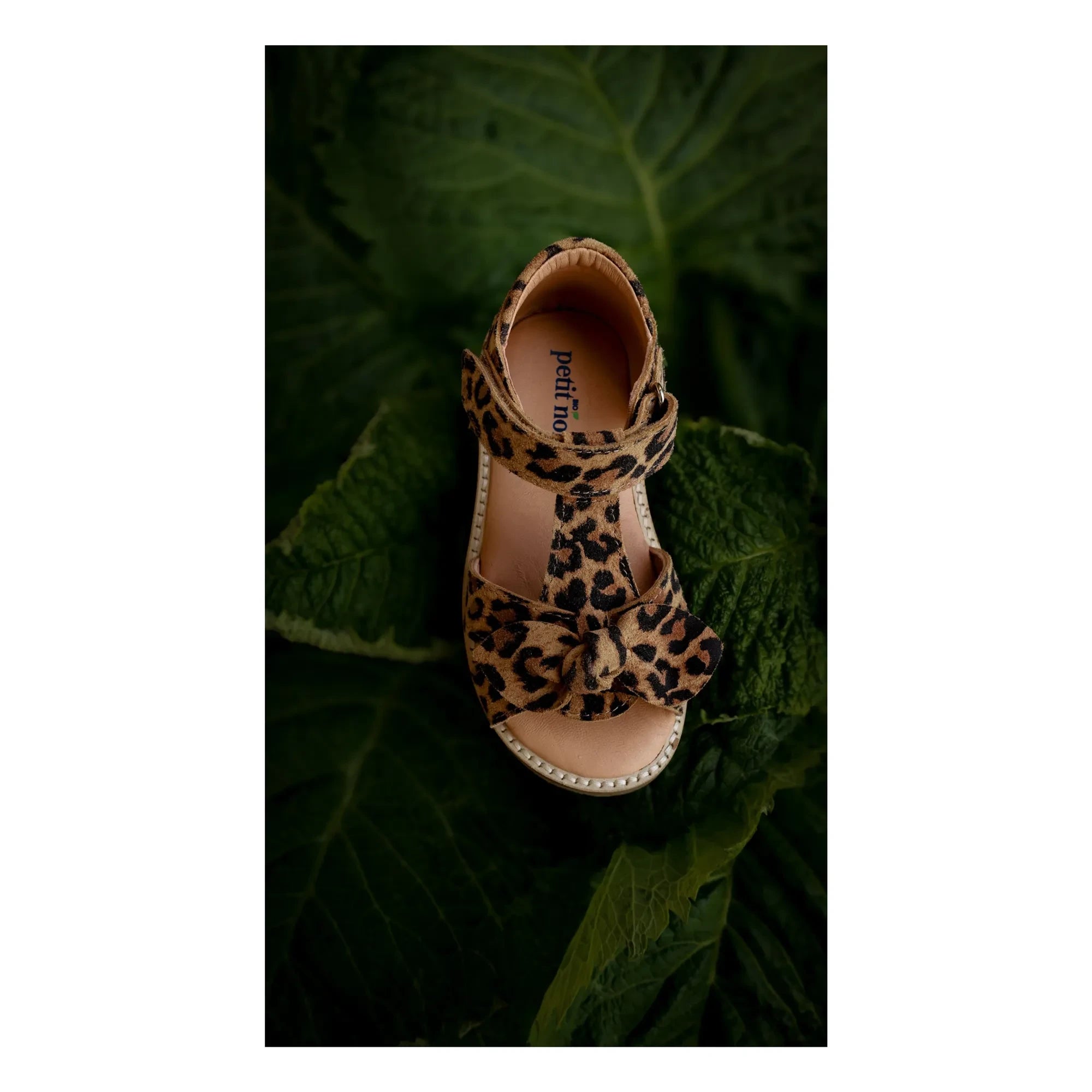 Petit Nord - Leoparden-Schleifen-Sandale | Braun