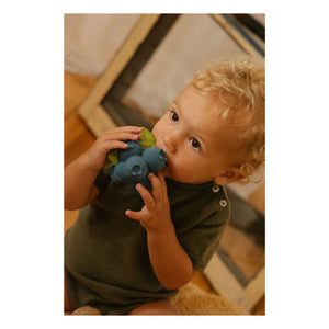 Oli & Carol - Jerry the Blueberry Beißring