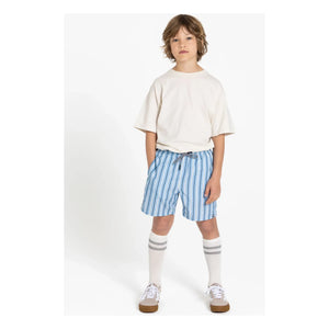 Finger in the nose - Freeboy Gestreifte Badeshorts | Blau
