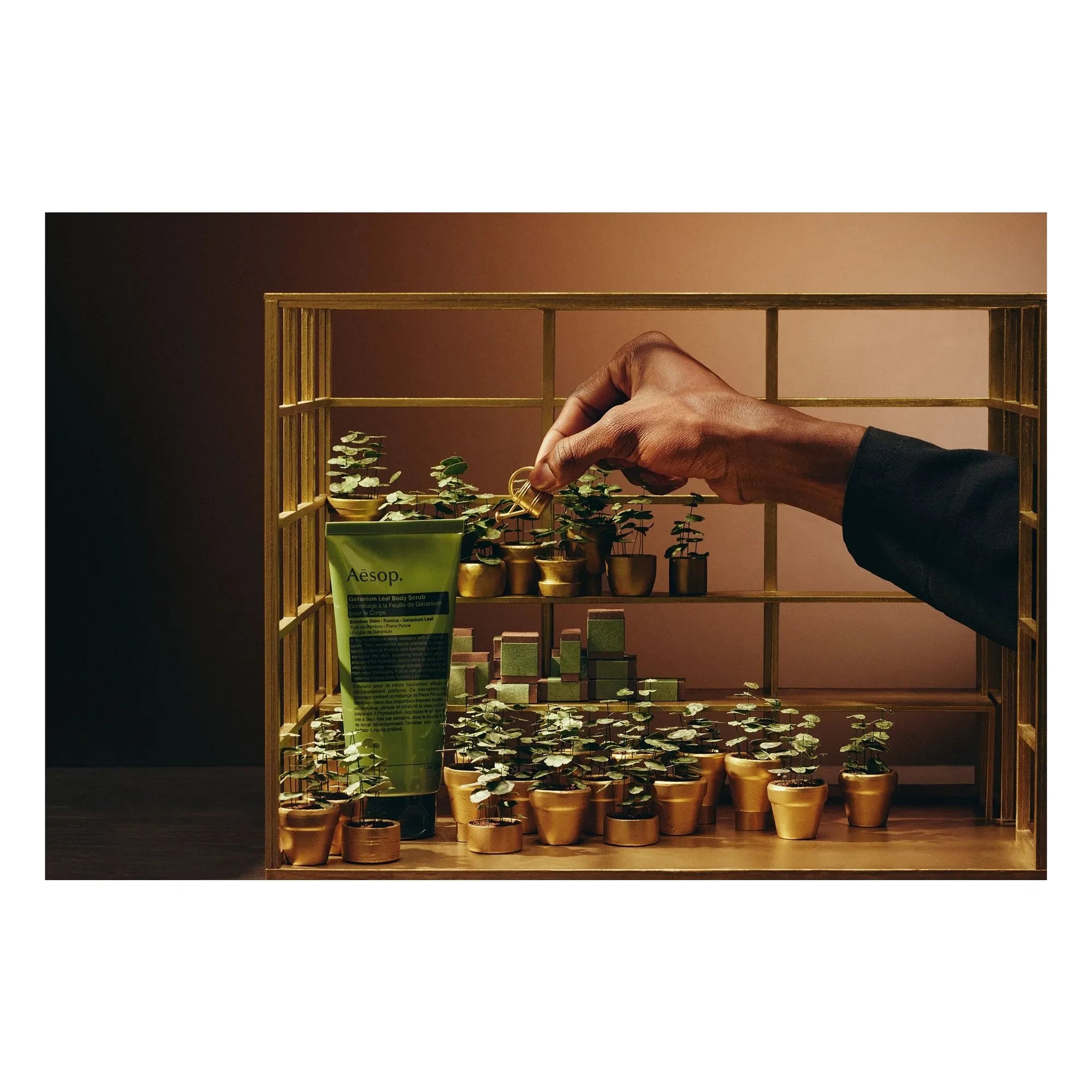 Aesop - Gewächshaus-Party-Set