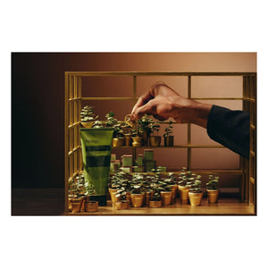 Aesop - Gewächshaus-Party-Set
