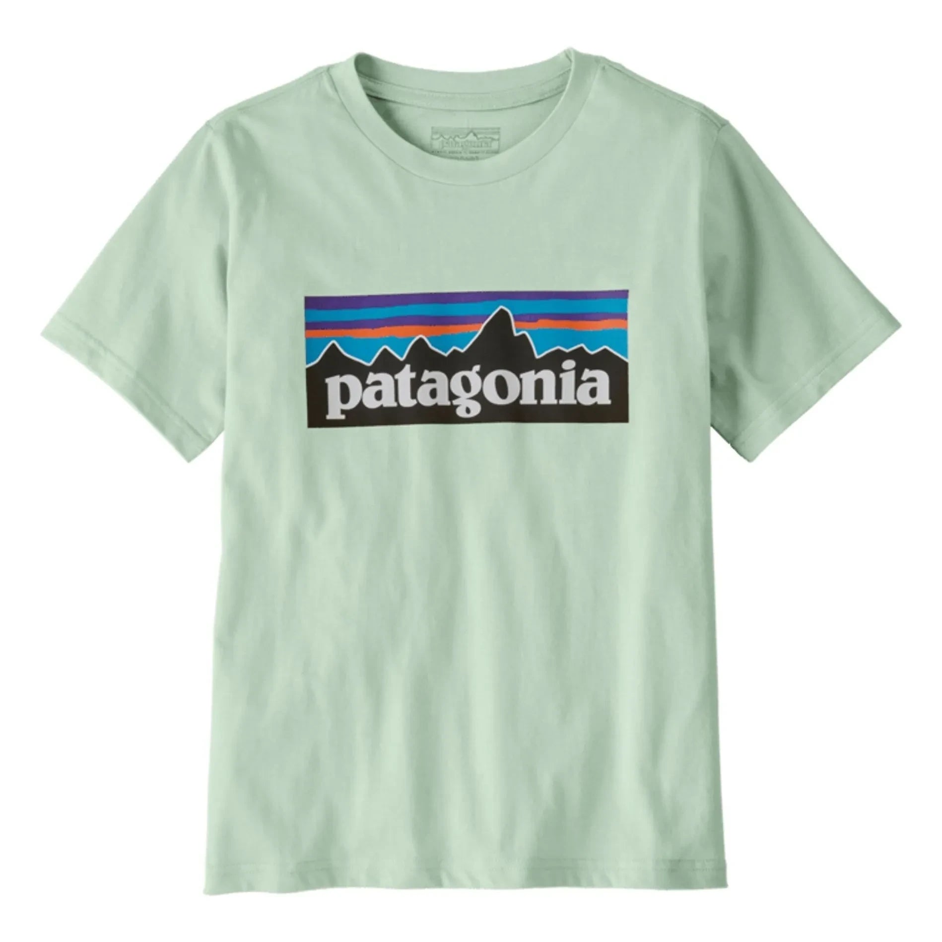 Patagonia - Logo T-Shirt Bio-Baumwolle | Hellblau