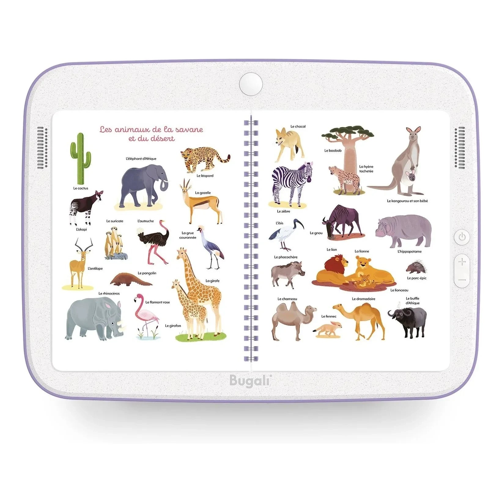 Bugali - Buch Mon grand imagier - Animals (Bugali x Fleurus)
