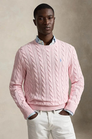 Polo Ralph Lauren erkek pamuklu kazak