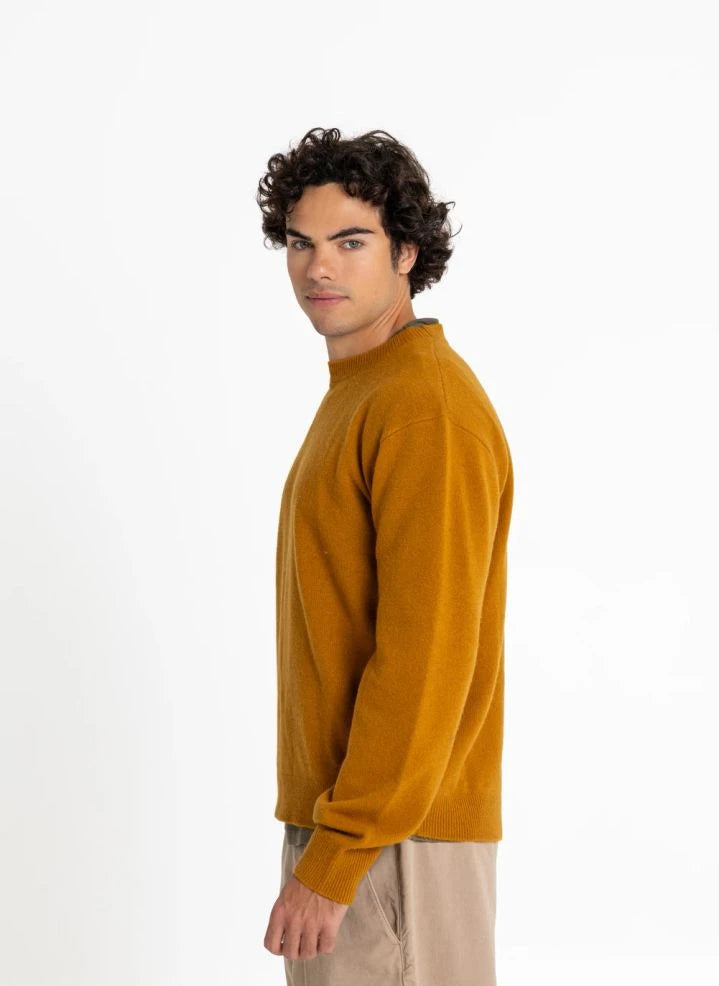 Smallable Man - Mozart Merino Wollpullover | Senf