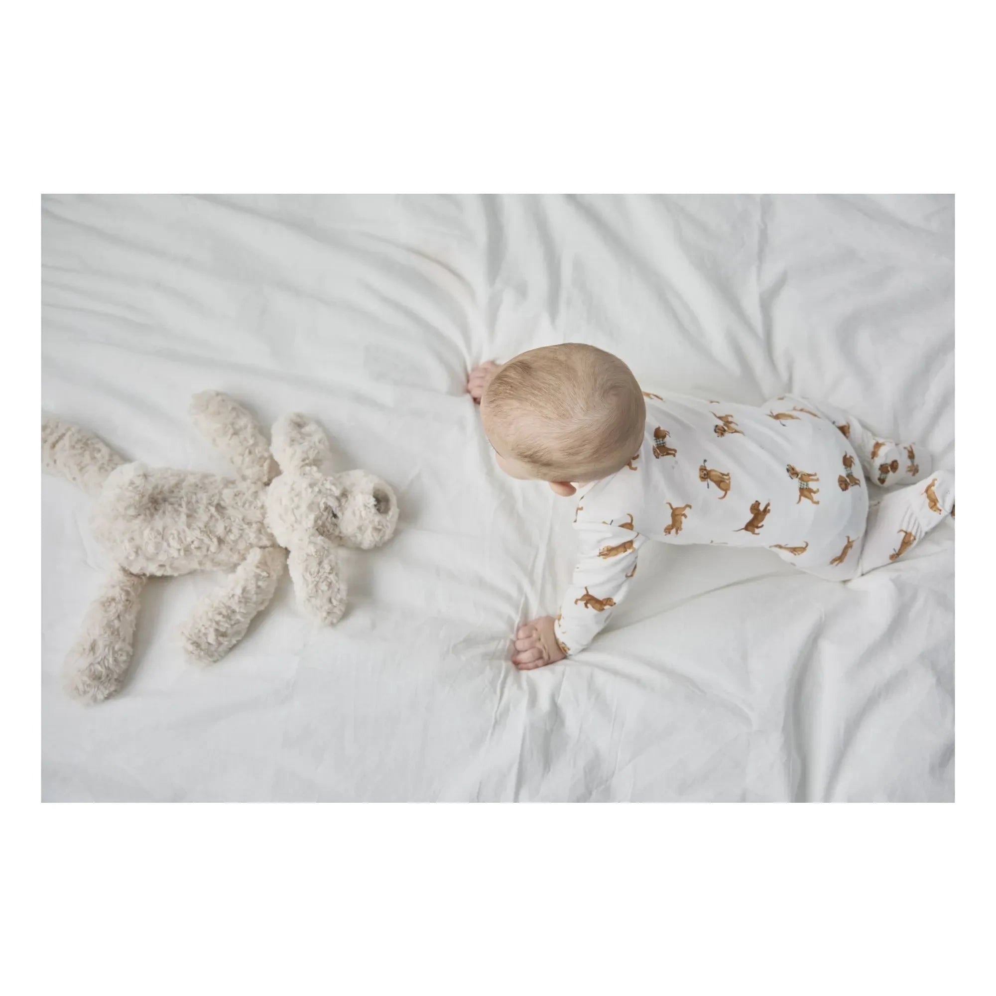 Petit Lem – Pyjama aus Bio-Baumwolle und Modal, mit Hundepfoten-Details | Weiß