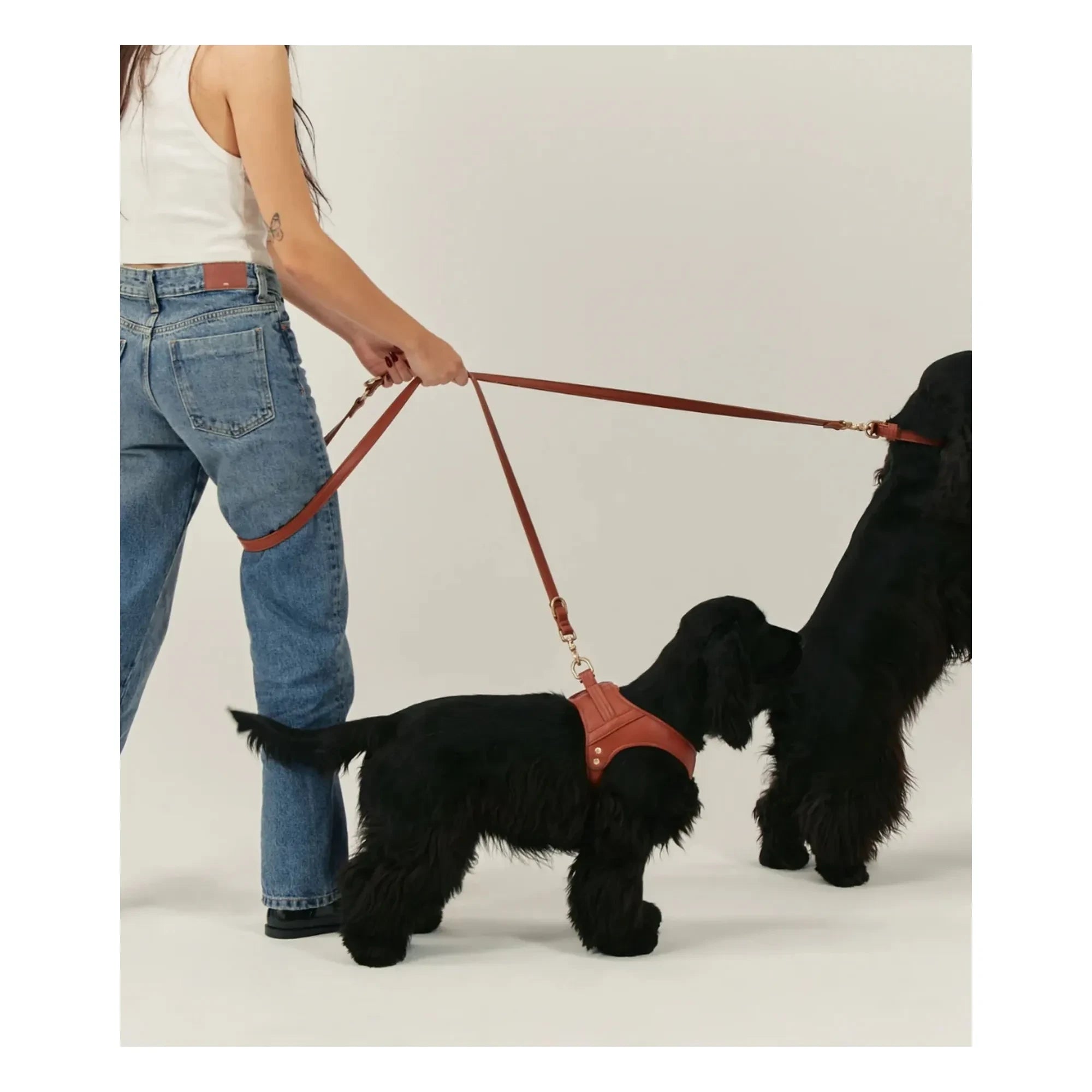 Cafide - 3-fach verstellbares Hundehalsband, veganes Leder | Braun