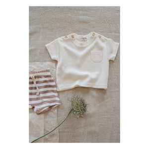 1+ in the family - Feres Gestreifte Frottee Bermuda Shorts | Taupebraun