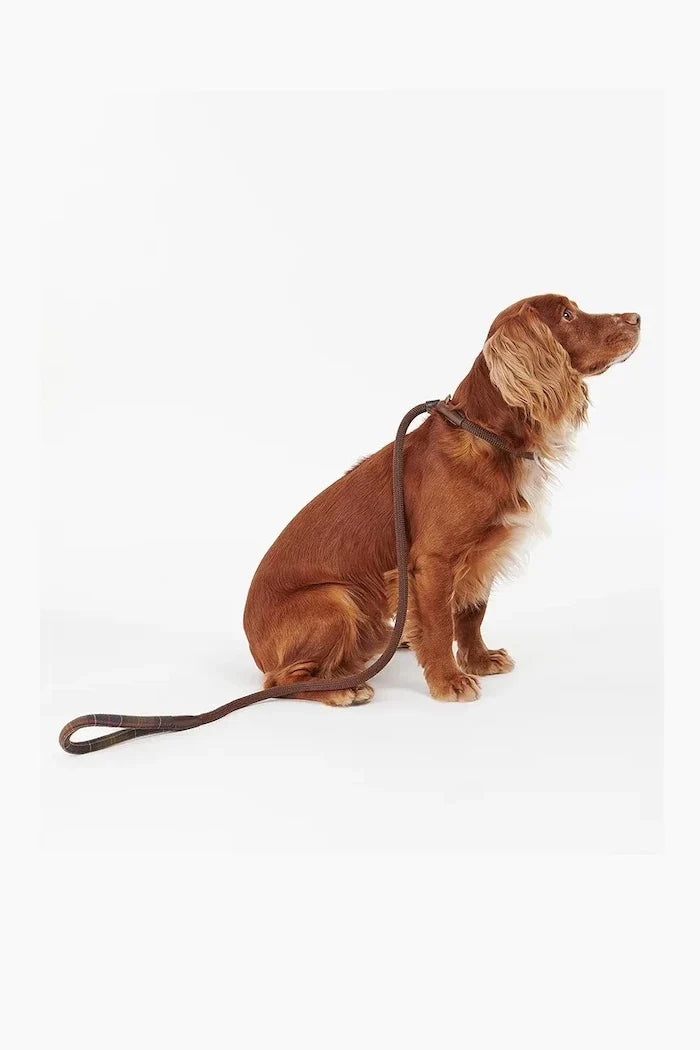 Barbour Tartan Detaylı Köpek Tasması