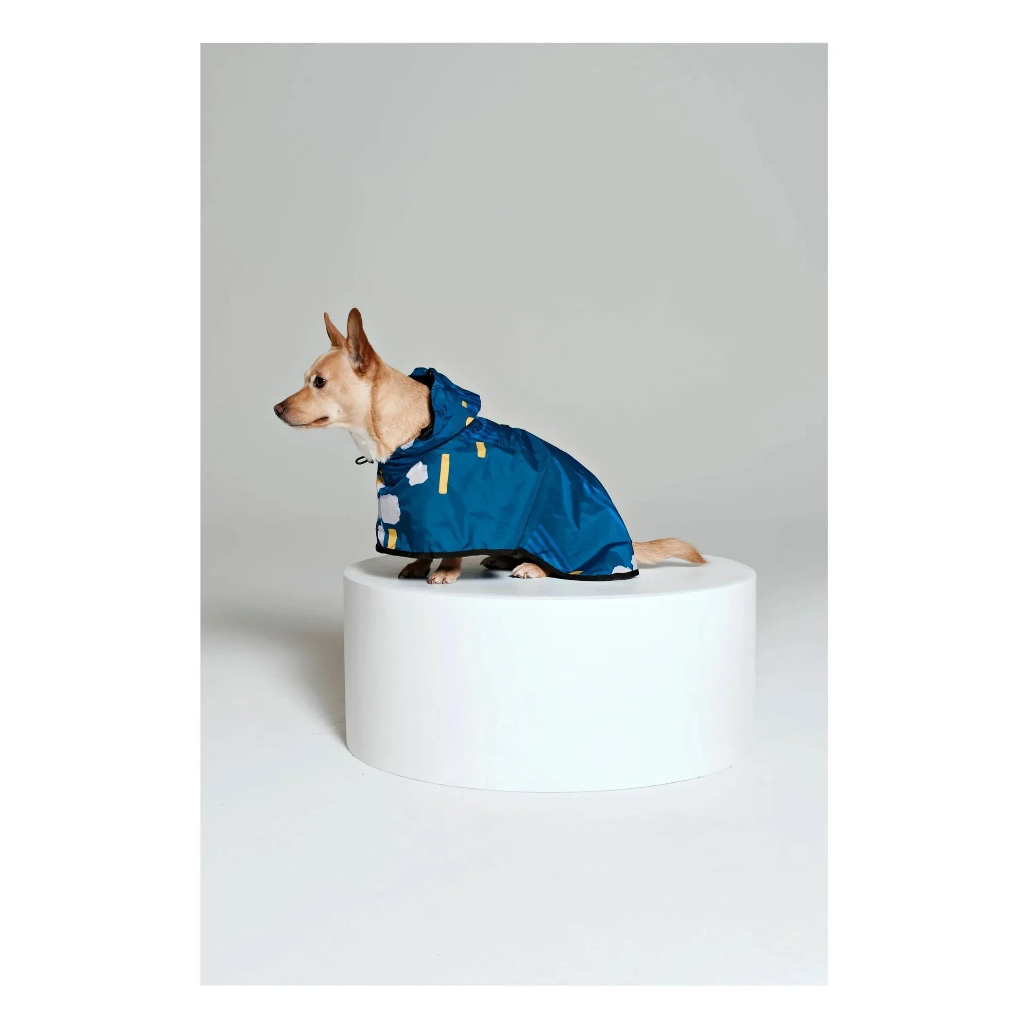 Rainkiss - Japanese Blossom Wasserdichter Hundemantel | Blau