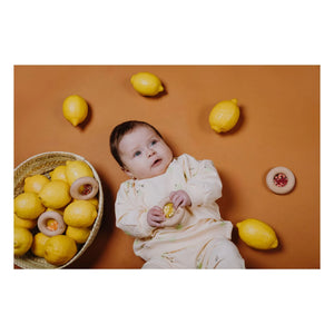 Petit Boum - Duyusal Limon Donut