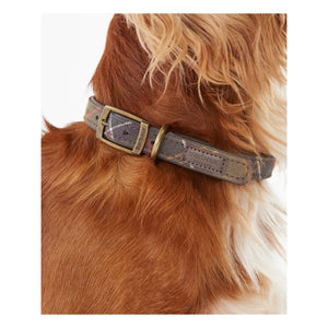 Barbour - Kariertes Hundehalsband | Dunkelbeige Braun