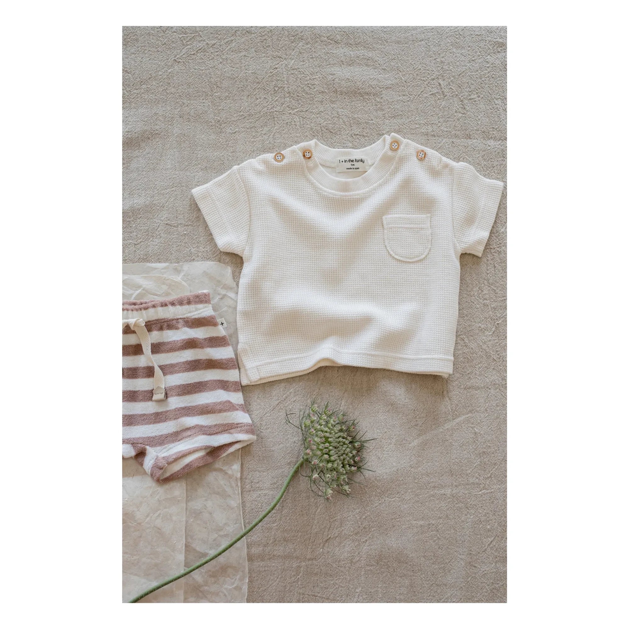 1+ in the family - Delion Waffle T-Shirt | Ecru