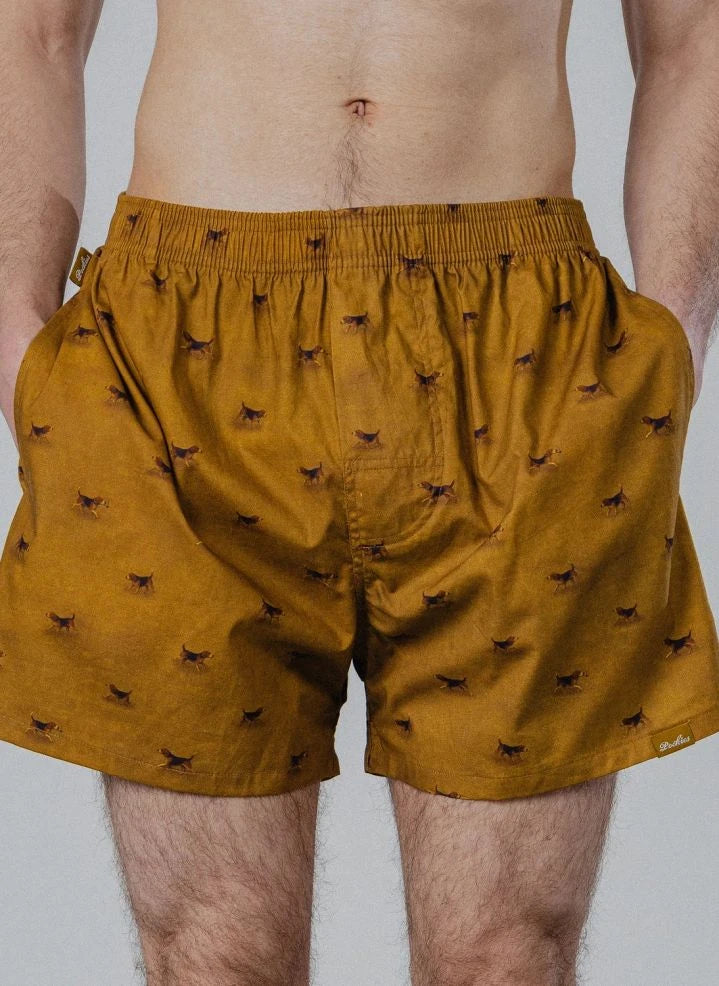 Pockies - Beagle Boxer | Hardal