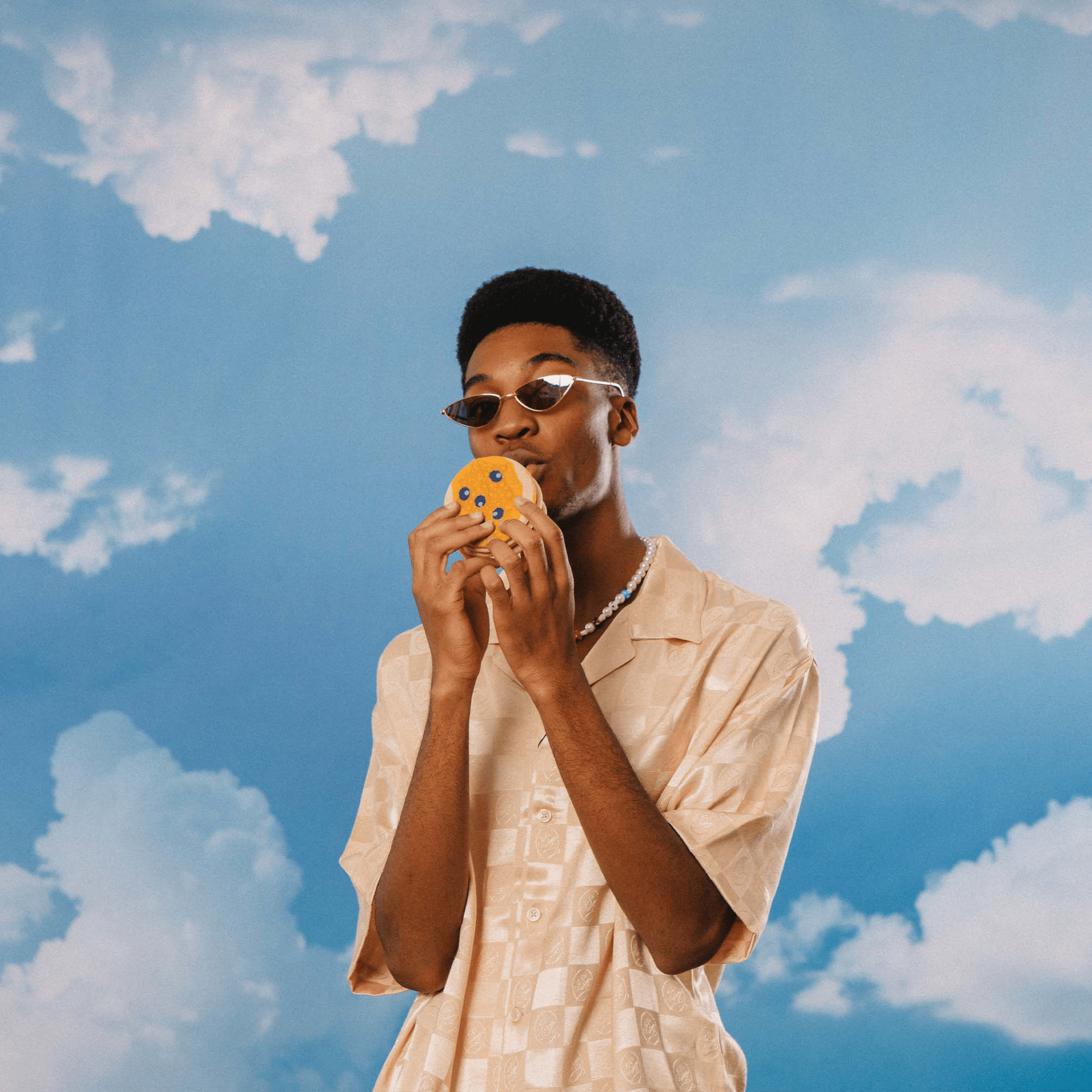 Eat My Socks - Yetişkin Todd'un Krepleri Çorap - Dinossi