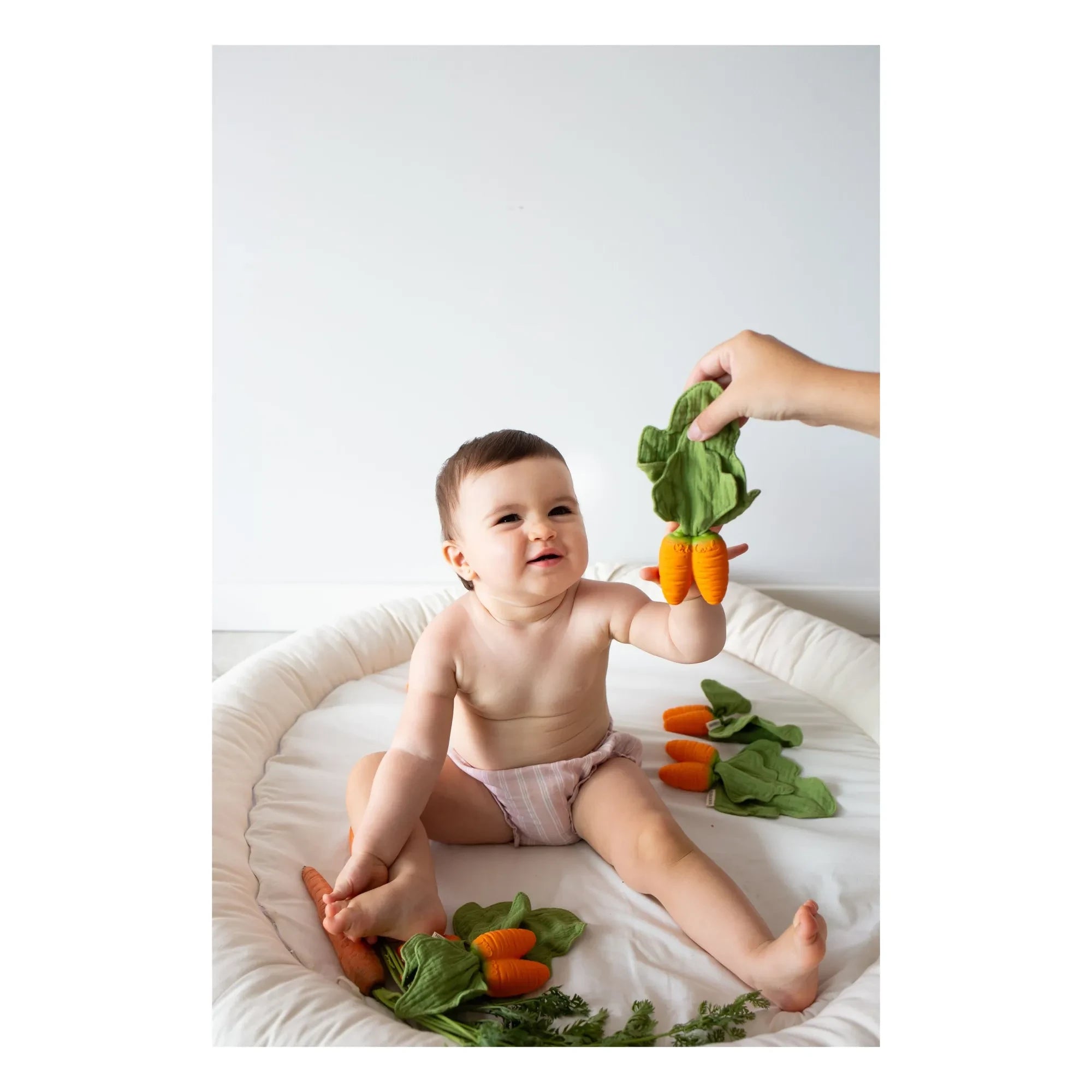Oli & Carol - Beißring Cathy the carrot
