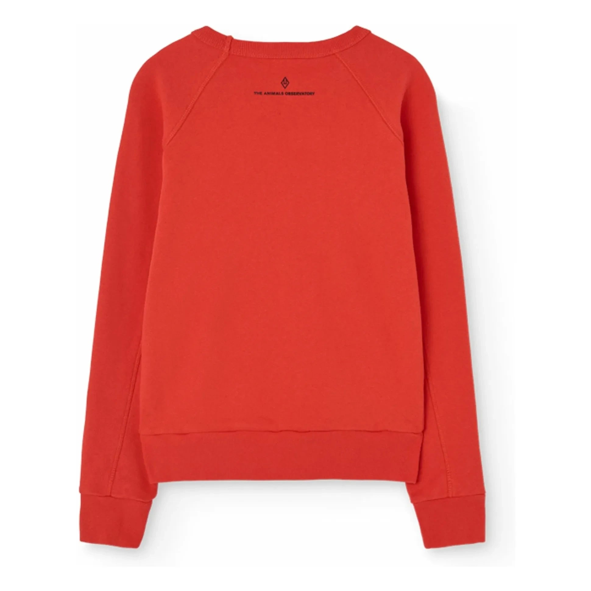 The Animals Observatory - Sweatshirt Shark My Friends | Rot