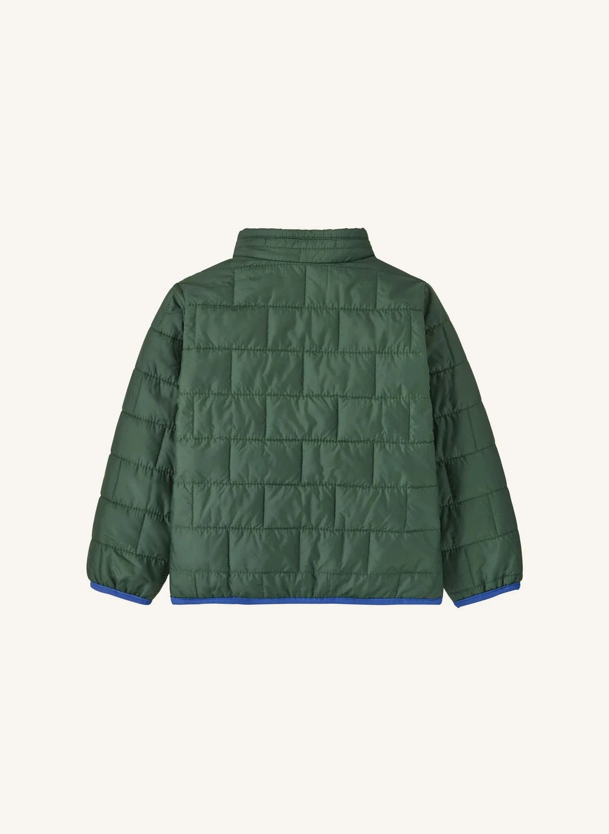 Patagonia - Geri Dönüştürülmüş Liflerden Üretilmiş Nano Puff Tüy Ceket | Yeşil