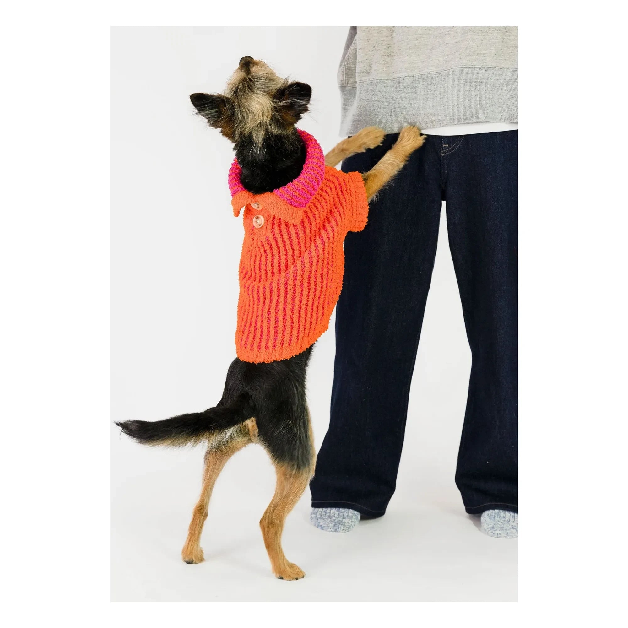 The Furry Folks - Pull Rib | Orange