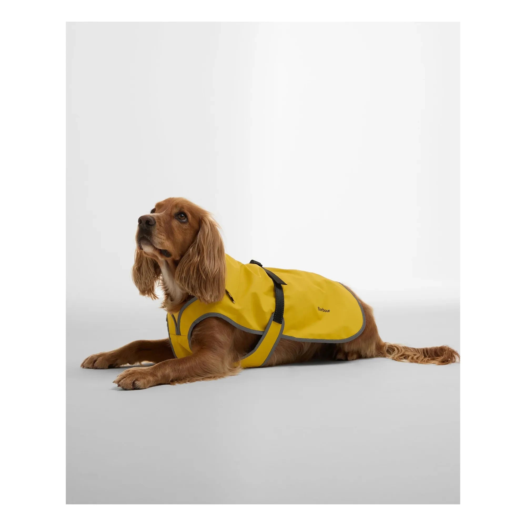 Barbour - Evie wasserdichte Hundejacke | Gelb