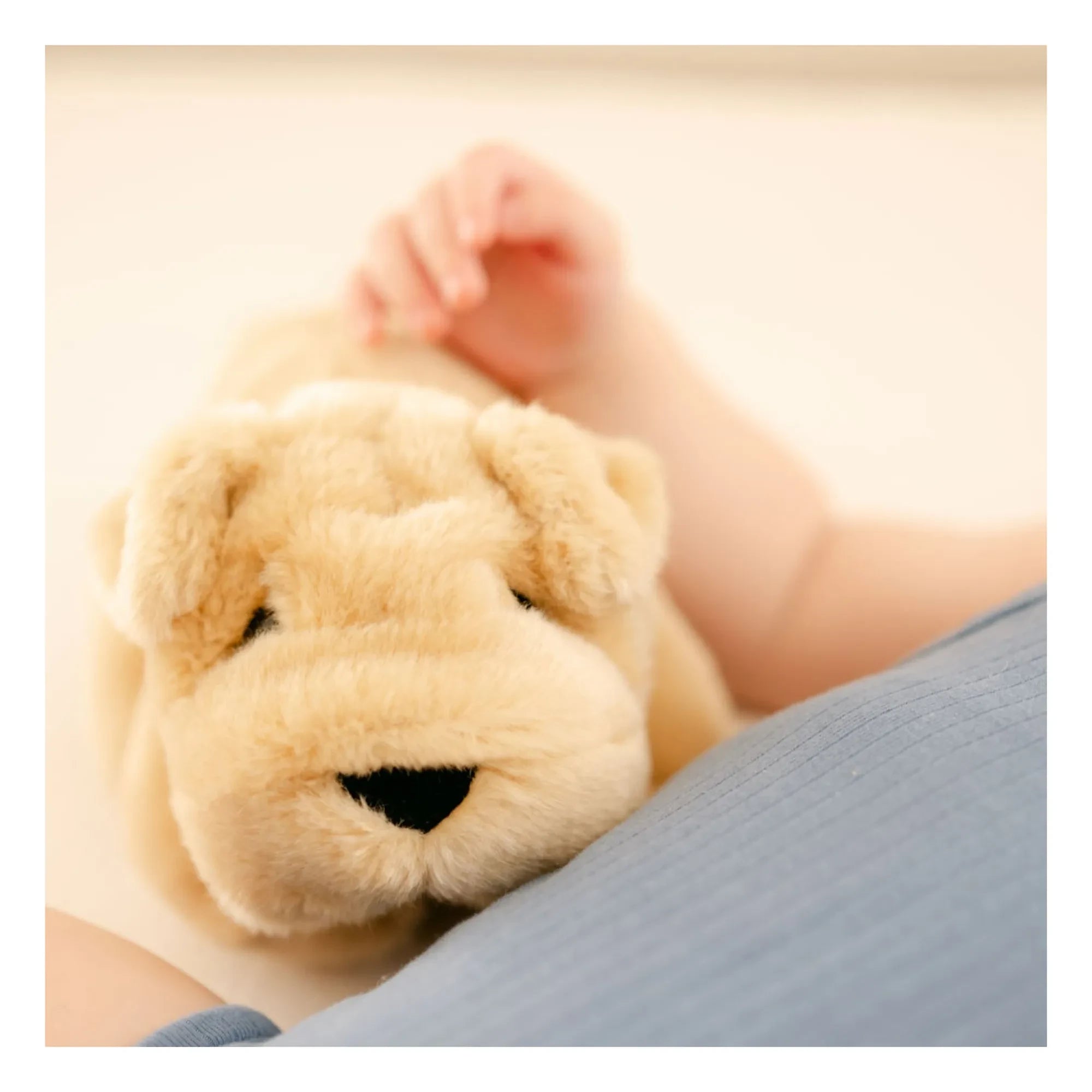 La Pelucherie – Hector 20 cm Plüschhund | Honig