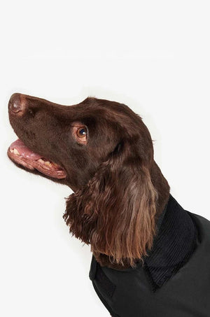 Barbour Köpek Montu