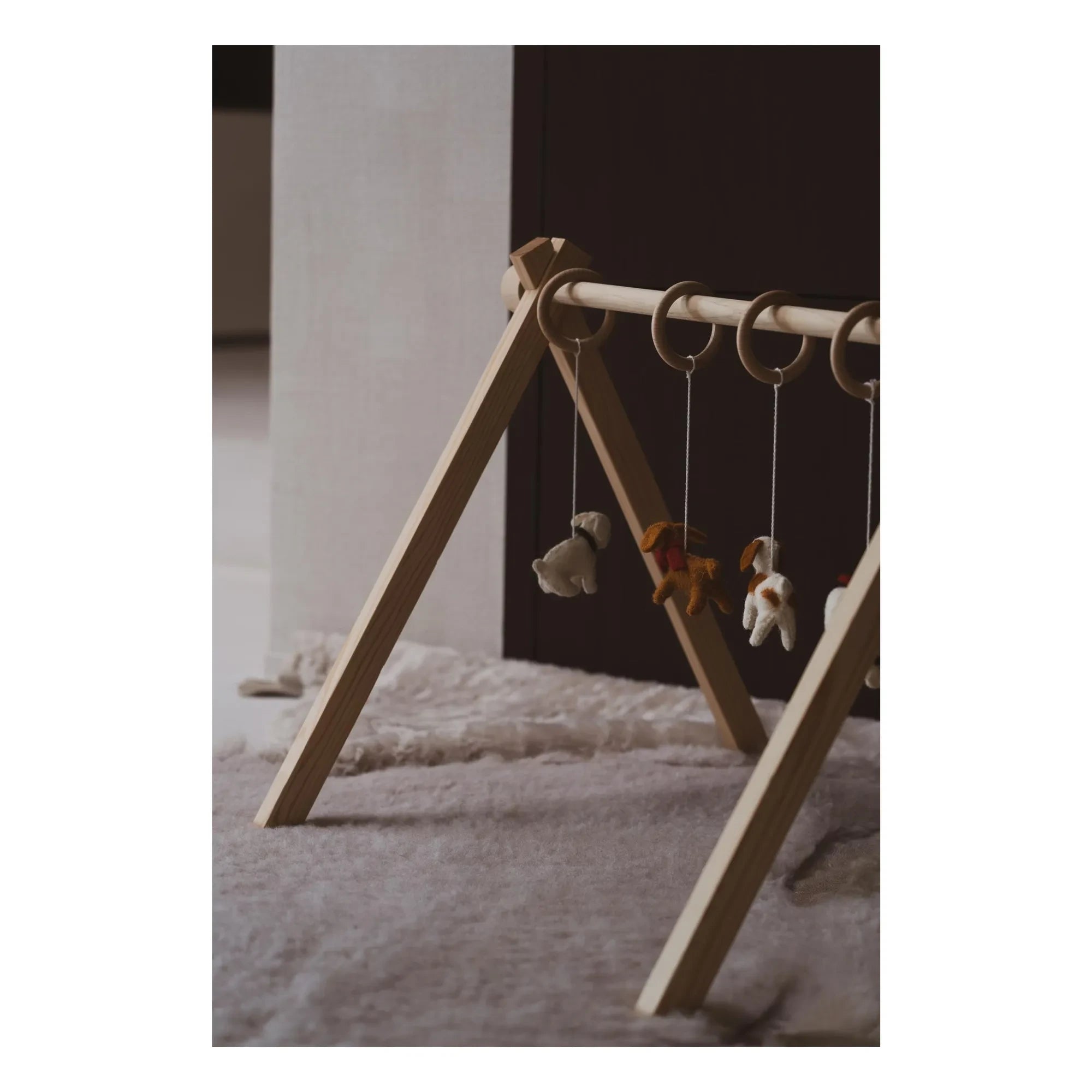 Quax - Hundegurt Spielzeugset