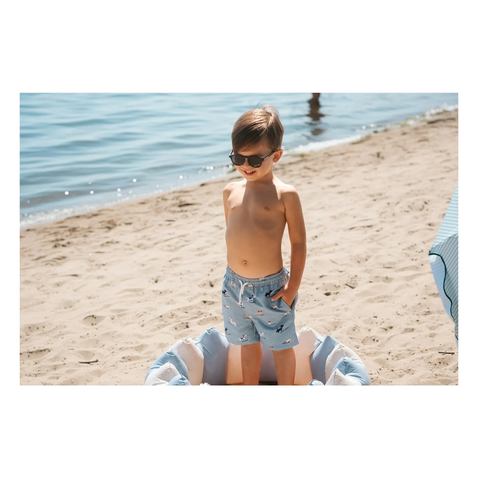 Petit Lem - Badeshorts für Hunde aus recycelten Fasern | Graublau