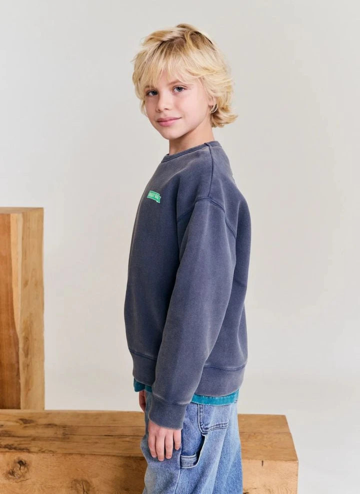 AO76 - Oscar Doggy aus recycelter Baumwolle Sweatshirt | Kohlegrau
