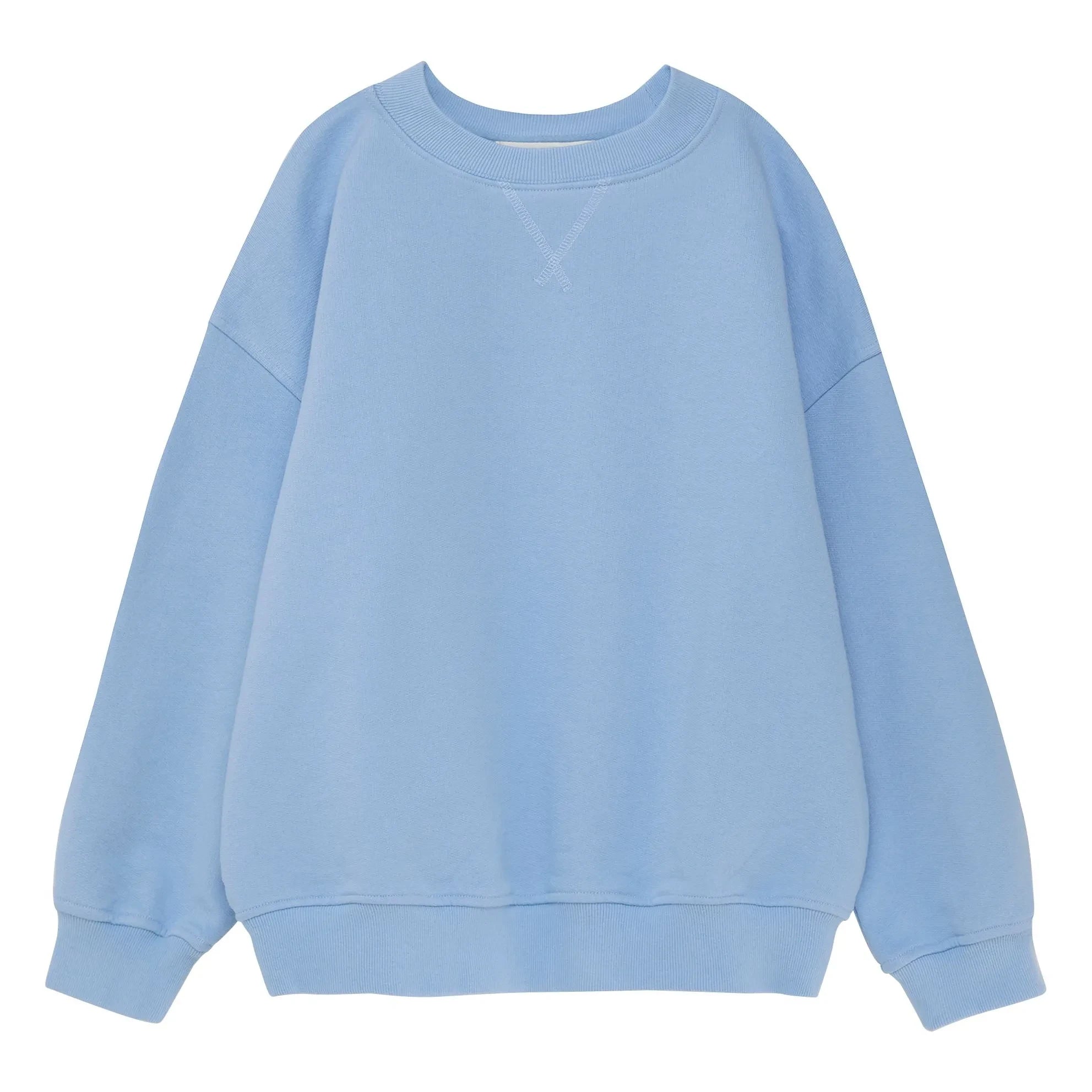 True Artist – Sweatshirt Nr. 11 Bird Bio-Baumwolle | Hellblau