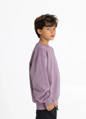 Smallable Kid - Arlo Organische Baumwolle Sweatshirt | Aubergine
