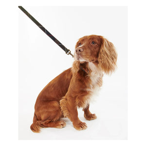 Barbour - Tartan Hundehalsband | Dunkelbraun