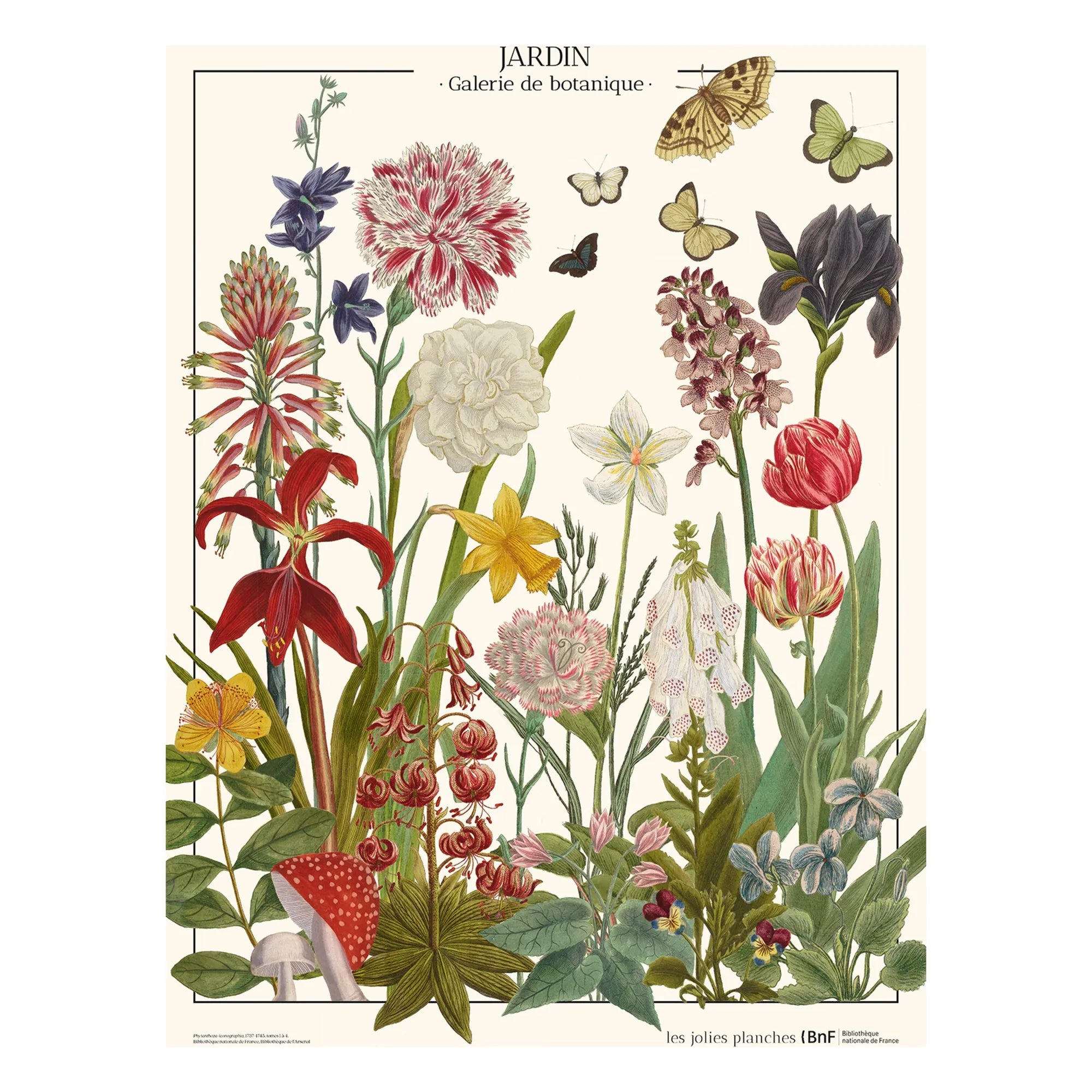 Les Jolies Planches - Gartenposter