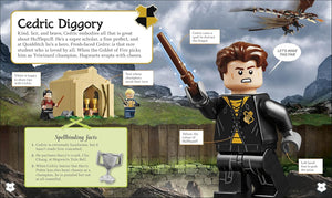 Lego - LEGO Harry Potter Hogwarts-Häuser-Aktivitäts- und Storybook mit Figur und Spielzeugfigur (Englisch)