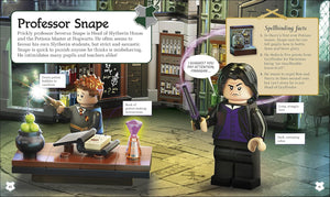 Lego - LEGO Harry Potter Hogwarts-Häuser-Aktivitäts- und Storybook mit Figur und Spielzeugfigur (Englisch)