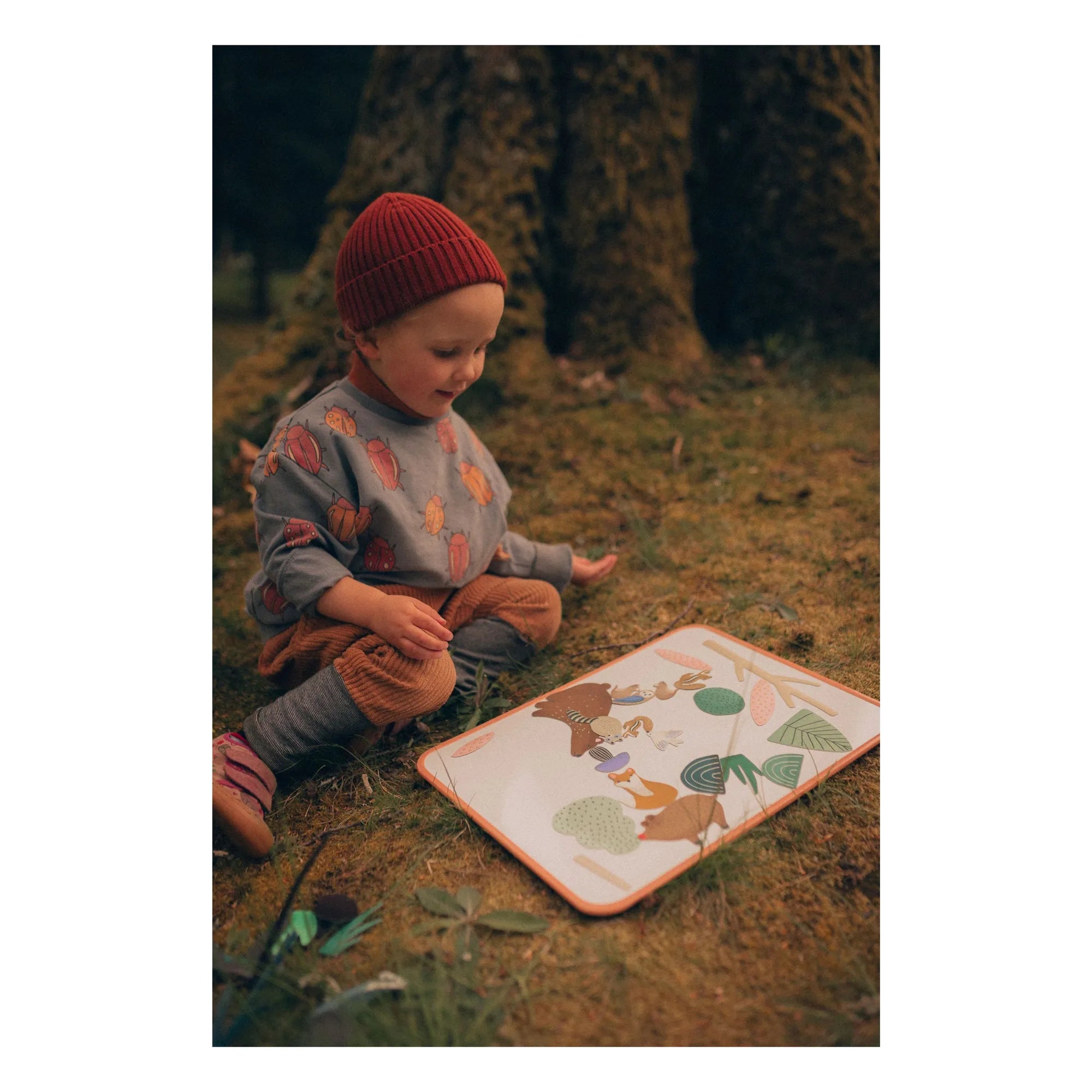Ma Cabane à rêves - Magnete Waldtiere