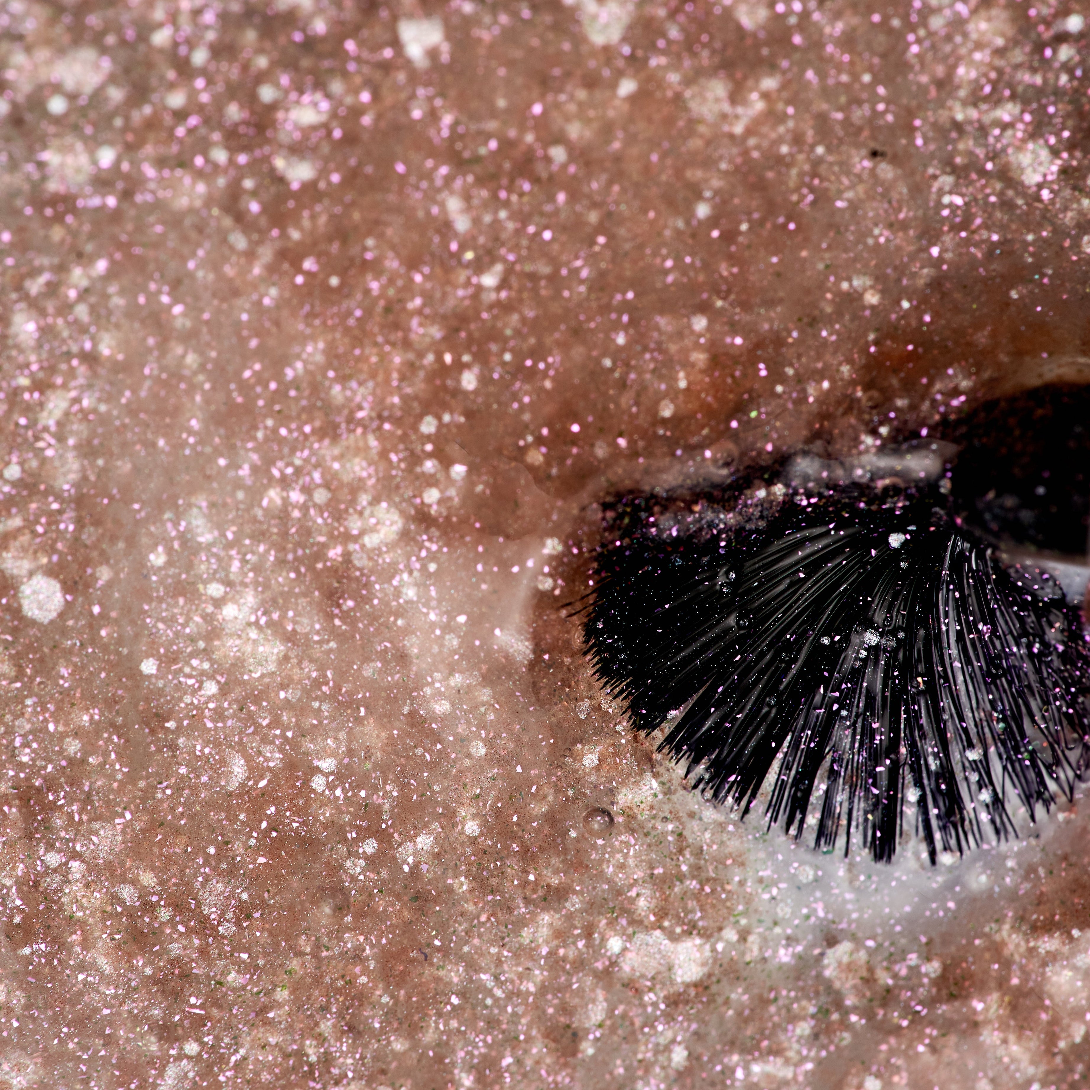 Miss Nella - Rosa Glitzer Überlack Abziehbar Nagellack