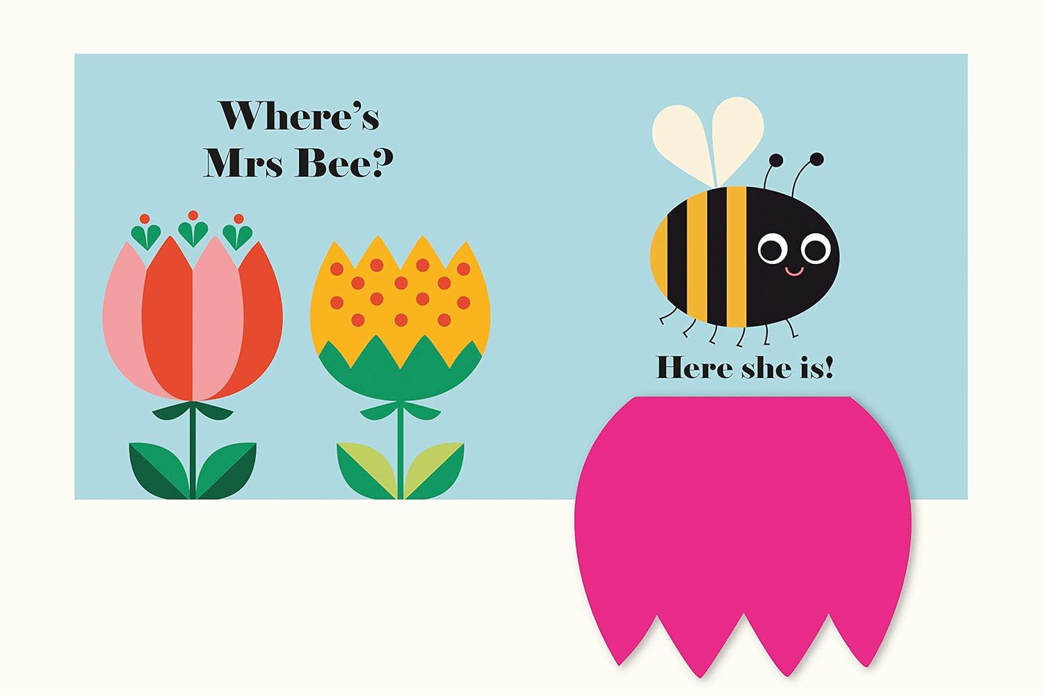 Nosy Crow – Englisch Wo ist Miss Ladybug? Buch