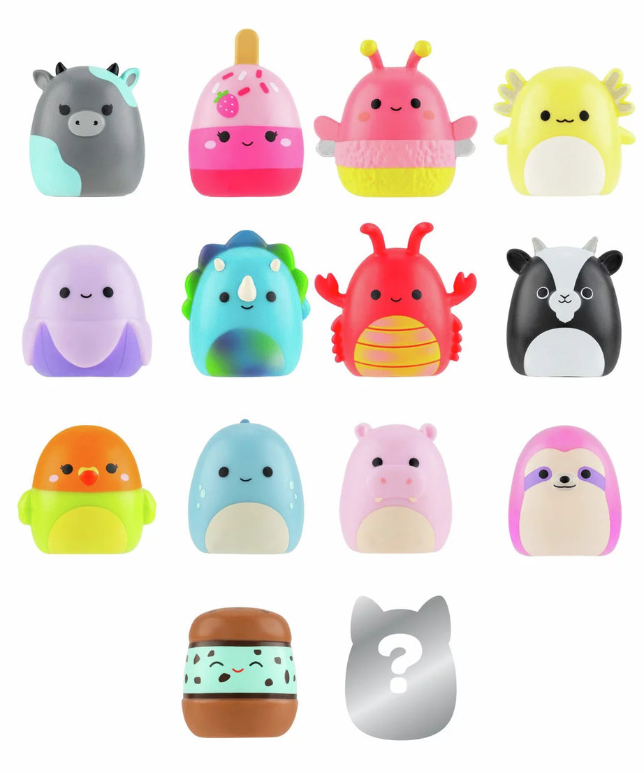 Squishmallows - Squish-a-longs 14 Figuren + Ring Set + 4 Zubehör Sonderedition Spielzeug